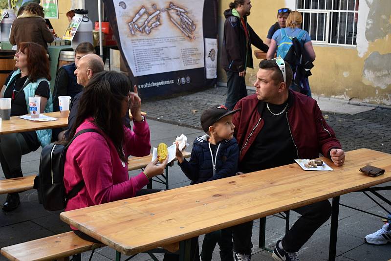 Děčín si o víkendu užíval pivní festival v Podmoklech.