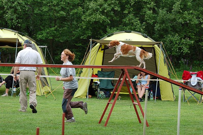 Dvoudenní psí závody agility Borec severu 2012 v Mikulášovicích.