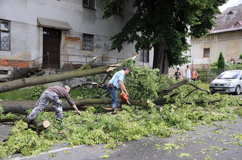 Vichřice zlomila strom 