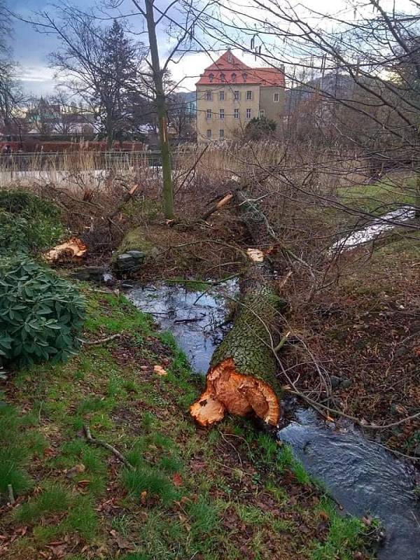 Vichřice polámala stromy i v jílovském zámeckém parku