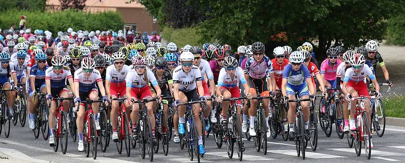 Na letošním startu cyklistického závodu Tour de Feminin v Krásné Lípě na Děčínsku vyjelo na trať 183 závodnic.