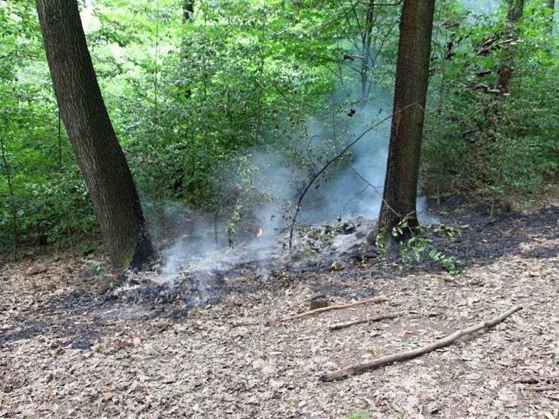 Požár lesa nad Bynovským sídlištěm