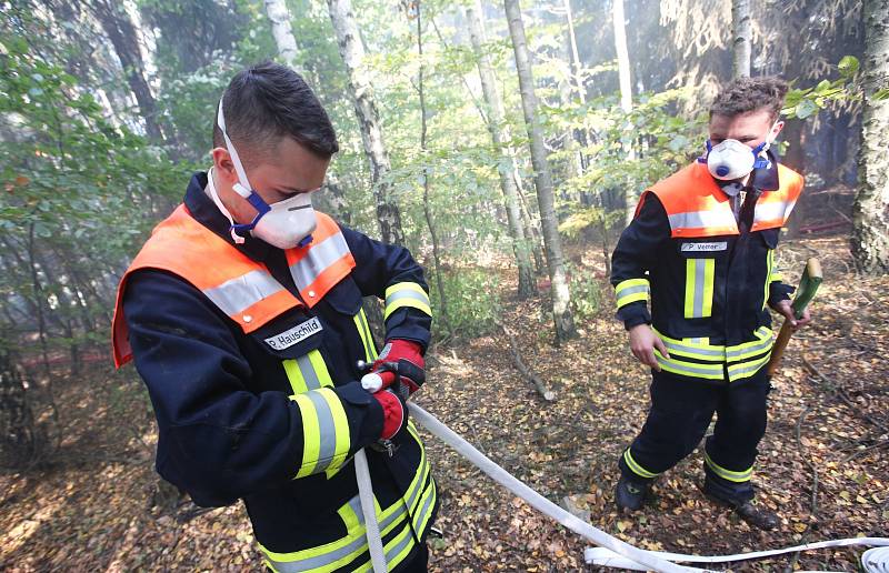 Lesní požár u Tisé hasiči likvidují už druhý den