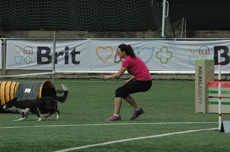 MĚSTSKÝ STADION v Děčíně hostil závody agility.