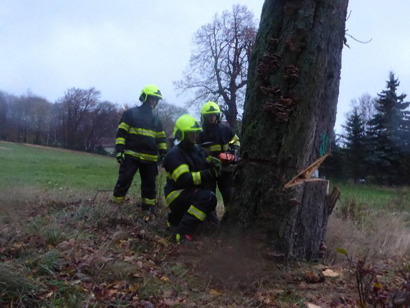  Vítr značně poškodil mohutný strom na Sněžníku. Na místo vyjeli místní hasiči a strážníci.