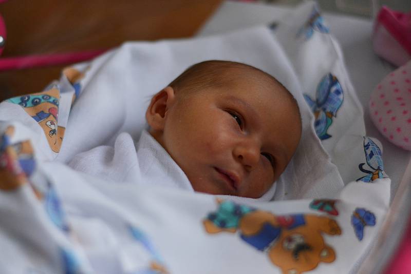 Rodičům Kateřině Johnové a Tomáši Klímovi z Děčína se 30. října v 8.42 v děčínské porodnici narodila  dcera Dominika Klímová. Měřila 49 cm  a vážila 3,4 kg.