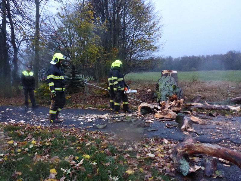  Vítr značně poškodil mohutný strom na Sněžníku. Na místo vyjeli místní hasiči a strážníci.