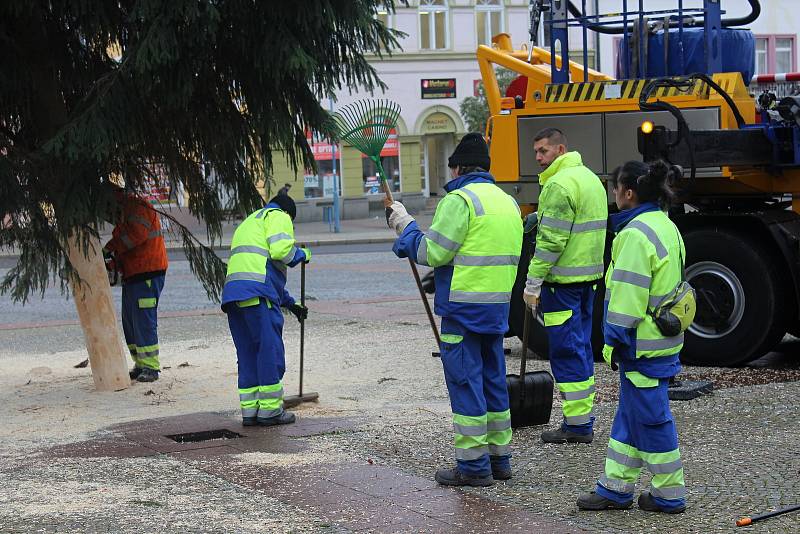 V pátek přivezli vánoční strom na Masarykovo náměstí v Děčíně.