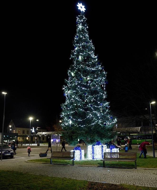 Vánoční strom ve Varnsdorfu