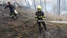 Hasiči bojují s požárem v Českém Švýcarsku.