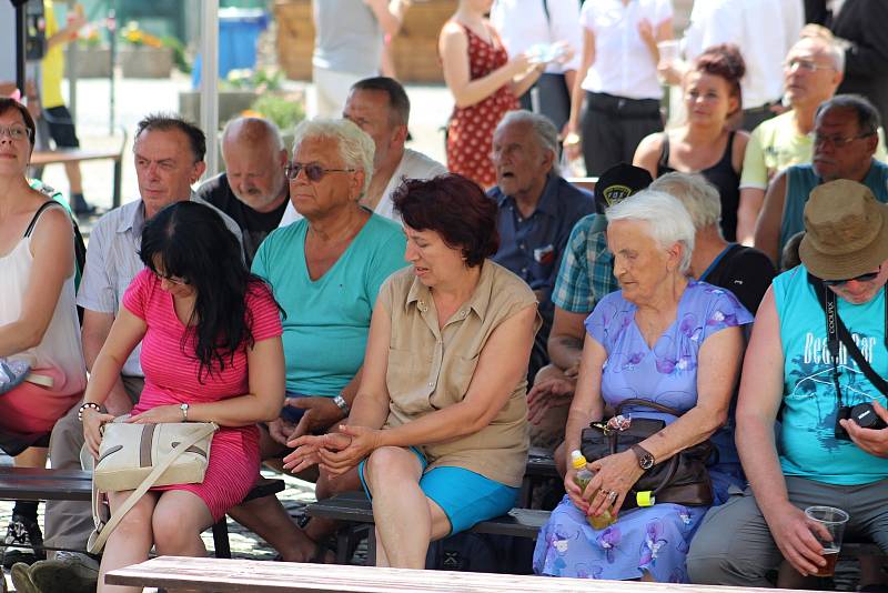 Mezinárodní hudební festival Česká Kamenice.