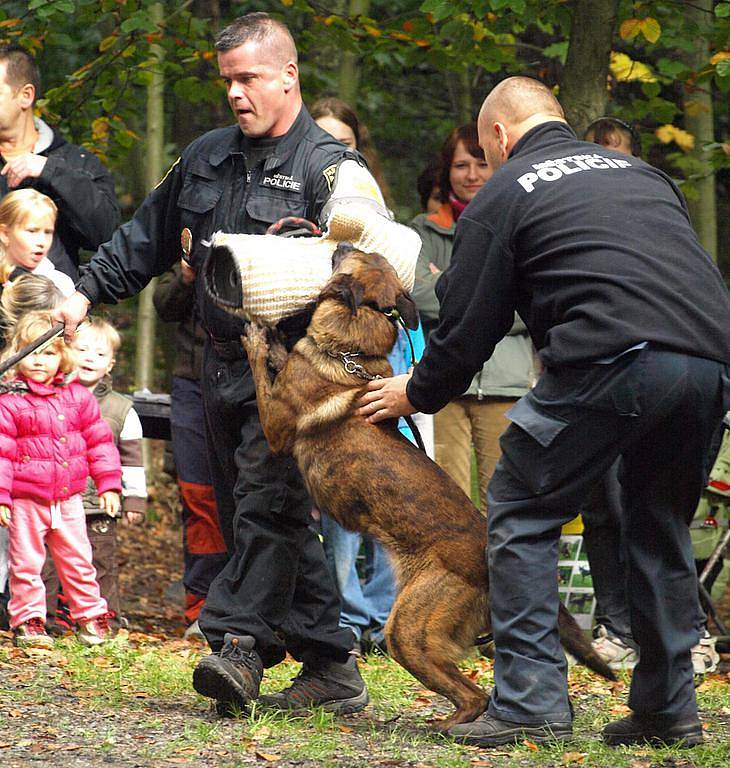 Zvířátka v děčínské ZOO slavila ve velkém stylu 