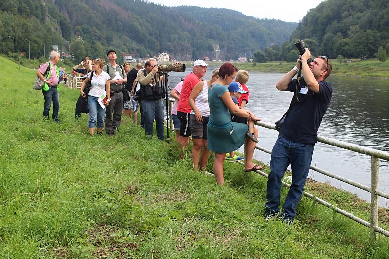 Nácviku záchrany lidí z plného vlaku se na česko - německé hranici zúčastnili také záchranáři, hasiči a policisté z Čech.