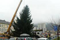 Masarykovo náměstí v Děčíně už zdobí vánoční strom, zatím je ale bez ozdob.