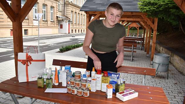 Spolužáci i veřejnost pomohli onkologicky nemocné školačce v Děčíně.