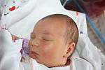 Kateřině Minden z Děčína se 21. listopadu v 18.23 narodila v děčínské nemocnici dcera Karla Krýslová. Měřila 51 cm a vážila 3,8 kg.