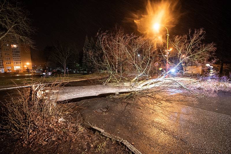 Vítr řádil v noci z neděle na pondělí 11. března i na Šluknovsku