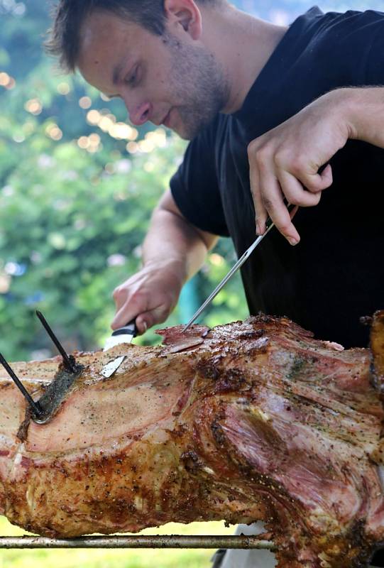 Zahradní slavnost uspořádala děčínská Základní škola Na Stráni.