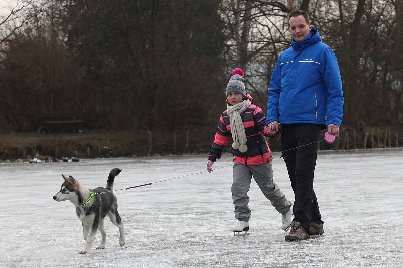 Desítky bruslařů využíva poslední zbytky zimy a bruslí na rebníku pod Děčínským zámkem.