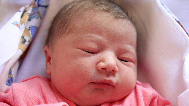 Adélka Lišková se narodila Daně Liškové z Benešova n. Pl. 18. srpna v 7.20 v děčínské porodnici. Měřila 48 cm a vážila 2,85 kg.