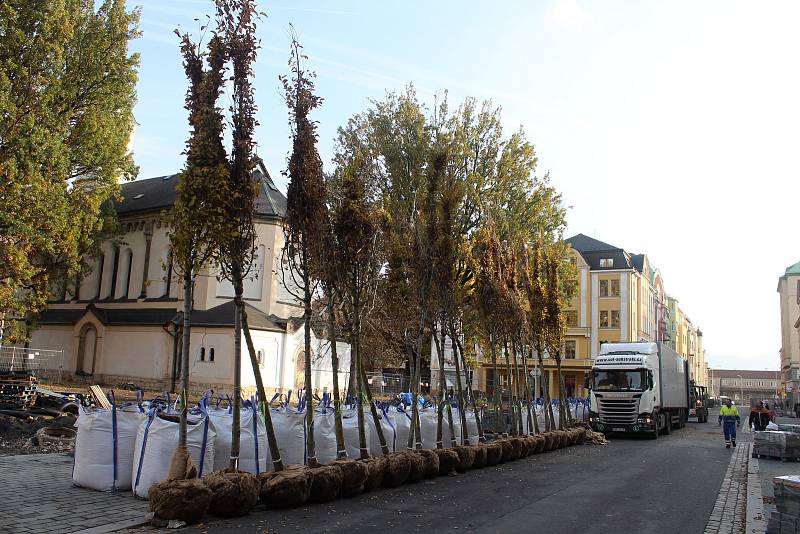 Výsadba vzrostlých stromů na ulici Prokopa Holého.