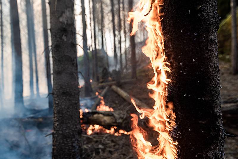 V Zadních Jetřichovicích hoří les, zasahuje vrtulník.