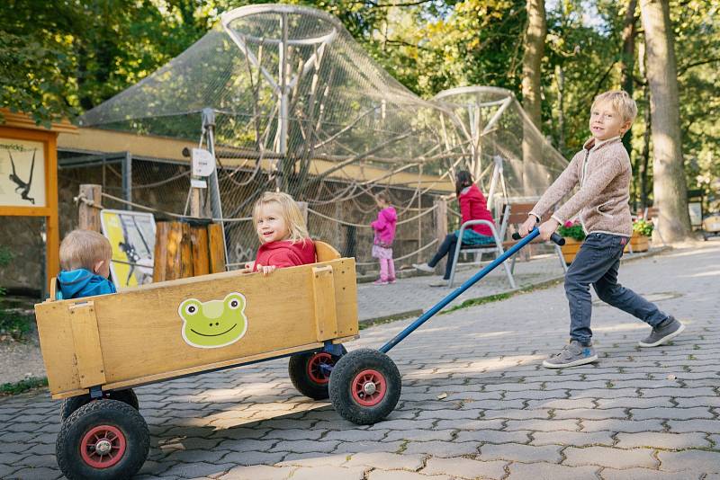 Zoo Děčín. 