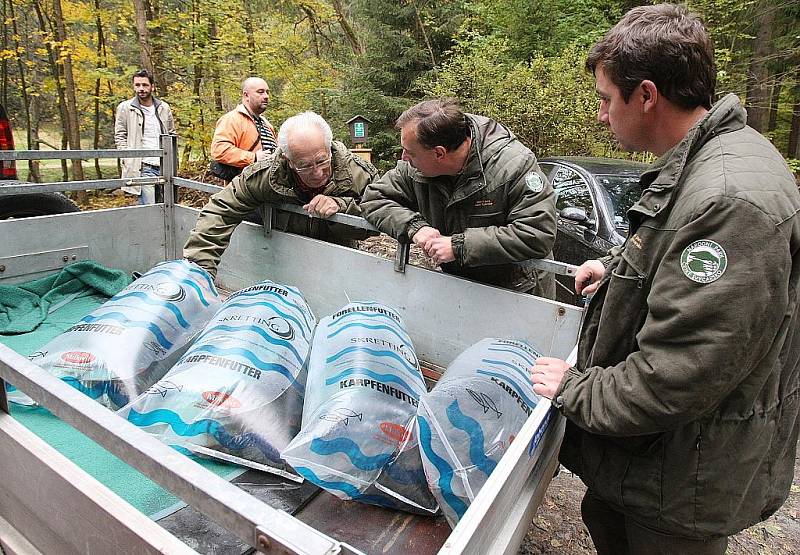 Do řeky Kamenice dnes vypustili 10.000 lososů, pomohli i dárci.