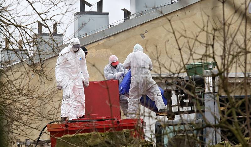 Likvidace chovu slepic kvůli salmonele v Janské nedaleko České Kamenice