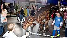 Putovní výstava dinosaurů zavítala do Děčína.