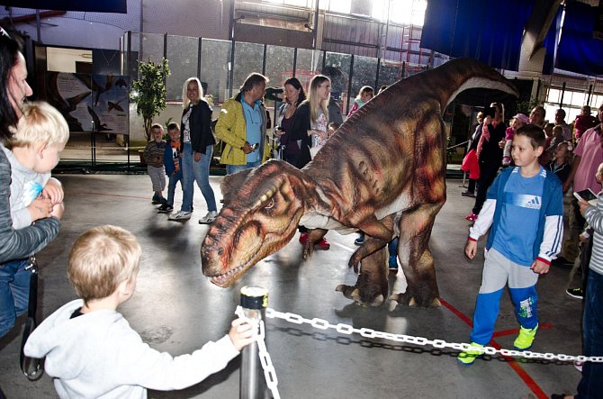 Putovní výstava dinosaurů zavítala do Děčína.