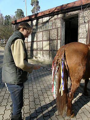 Více než sedm stovek lidí si v sobotu užilo masopustního veselí v děčínské zoo a na zámku. 