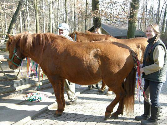 Více než sedm stovek lidí si v sobotu užilo masopustního veselí v děčínské zoo a na zámku. 