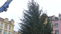 V pátek přivezli vánoční strom na Masarykovo náměstí v Děčíně.