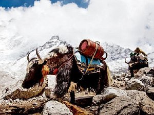 Do nejvyššího pohoří světa zavede diváky festivalu dokumentárních filmů Expediční kamera film Himalaya.