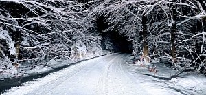 Sníh na silnici. Ilustrační foto.