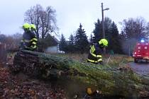  Vítr značně poškodil mohutný strom na Sněžníku. Na místo vyjeli místní hasiči a strážníci.