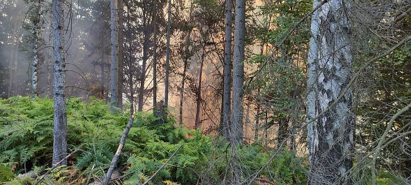Lesy v Českém Švýcarsku zasáhl mohutný požár.