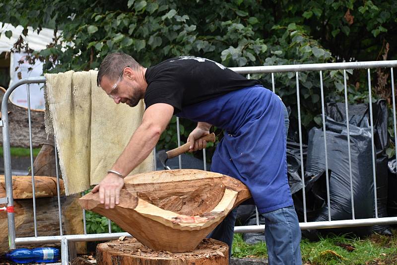 Na Mariánské louce vznikají dřevěné sochy.