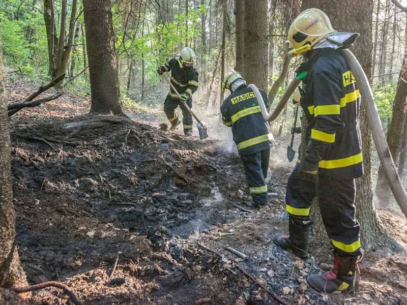 Požár lesního porostu u Jiřetína pod Jedlovou.