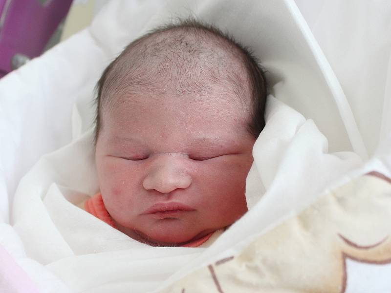 Rodičům Amalii Ferencové a Tomáši Divišovi z Jiříkova se v úterý 22. ledna narodila dcera Amalie Ferencová. Měřila 48 cm a vážila 3,36 kg.