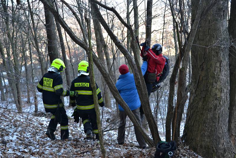 Paraglidista uvízl v Jílovém na stromě.