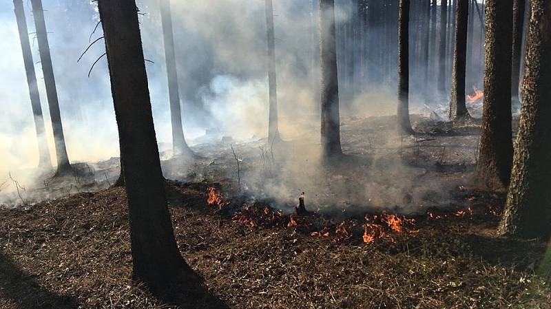 Požár lesa u Valkeřic