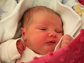 Eliška Vanišová se narodila Andree Vanišové z Děčína 4. ledna v 1.45 v děčínské porodnici. Vážila 3,5 kg.