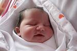 Anně Bílkové ze Šluknova se 6. ledna v 17.05 v děčínské porodnici narodila dcera Karolínka Bílková. Měřila 47 cm a vážila 3,22 kg.