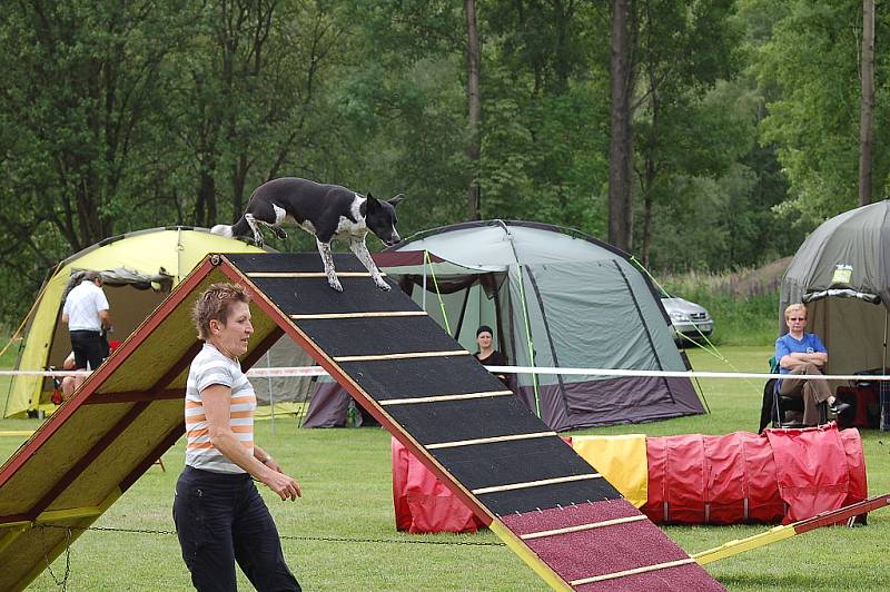 Dvoudenní psí závody agility Borec severu 2012 v Mikulášovicích.