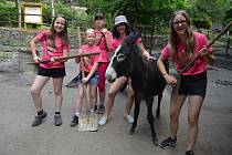 Příměstský tábor, Zoo Děčín