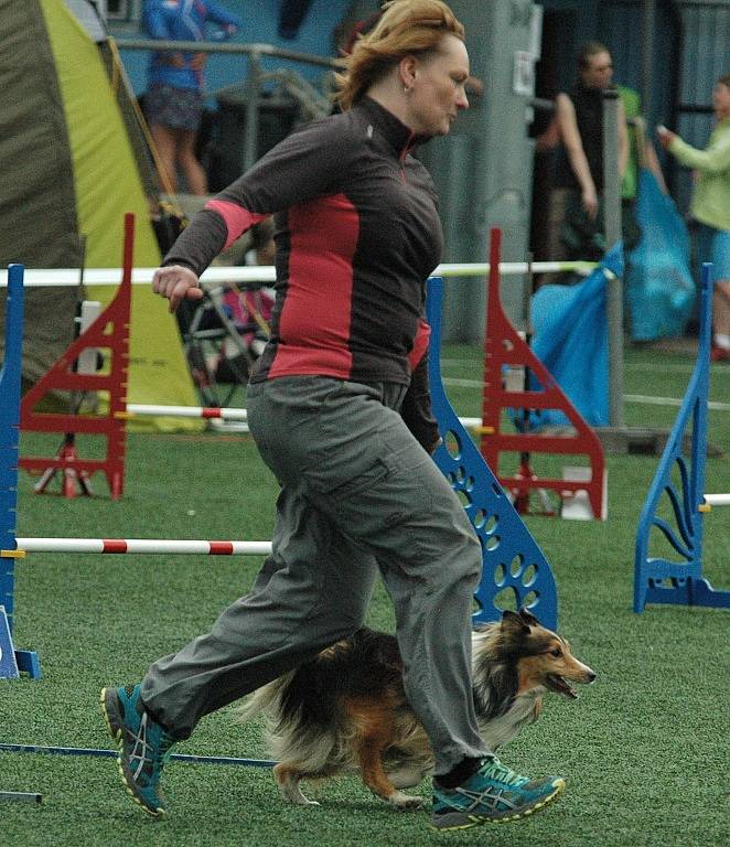 AGILITY - Městský stadion v Děčíně, 2015.