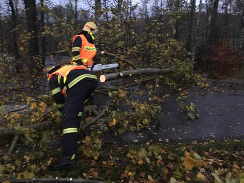 Vichřice udeřila i mezi Brtníky a Vlčí Horou na Šluknovsku