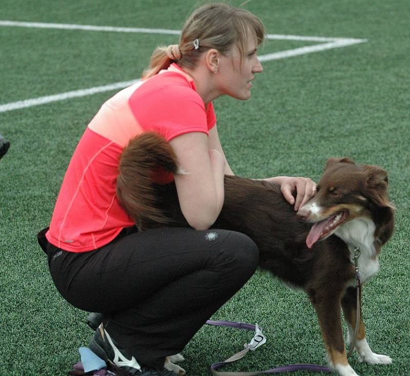 AGILITY - Městský stadion v Děčíně, 2015.